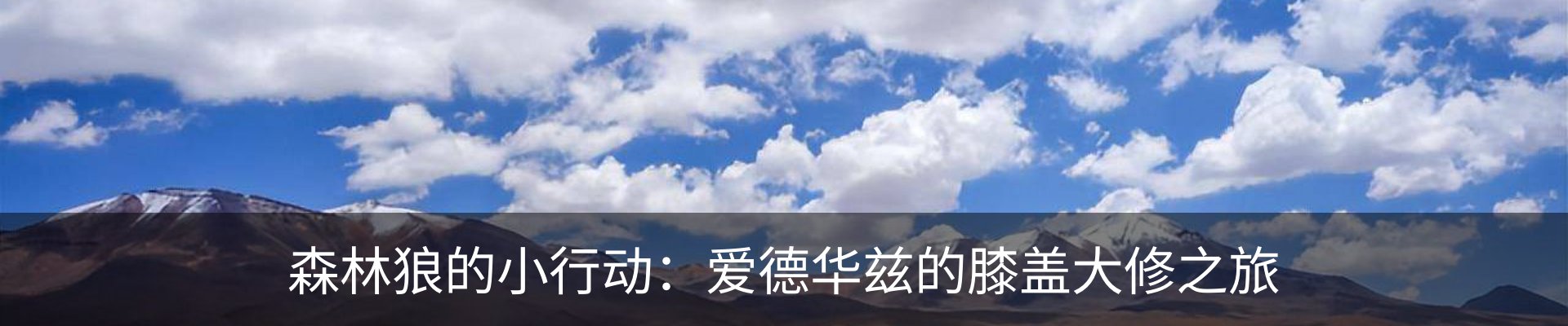 内页banner